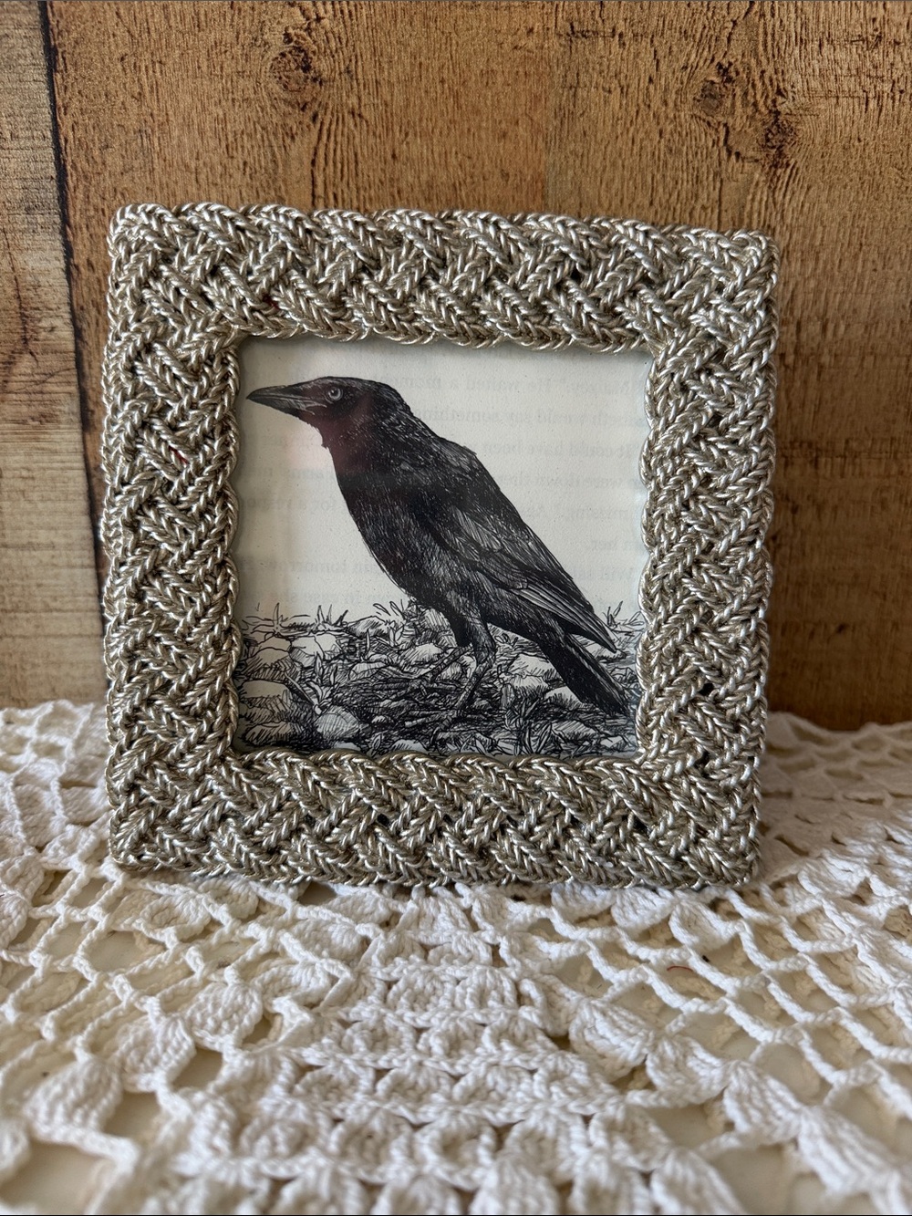 Cynthia Rowley Silver Braided Accent Picture Frame with Raven Art